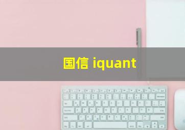 国信 iquant